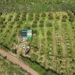 Bán rẫy sầu riêng 2,3 ha có nhà tại xã Ea Phê, Đắk Lắk, giá 5,75 tỷ - Ảnh thu nhỏ 1