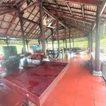 Bán khu nhà vườn 5.150m² có nhà gỗ cổ, ao cá tại An Điền, Bến Cát, Bình Dương - Ảnh thu nhỏ 3