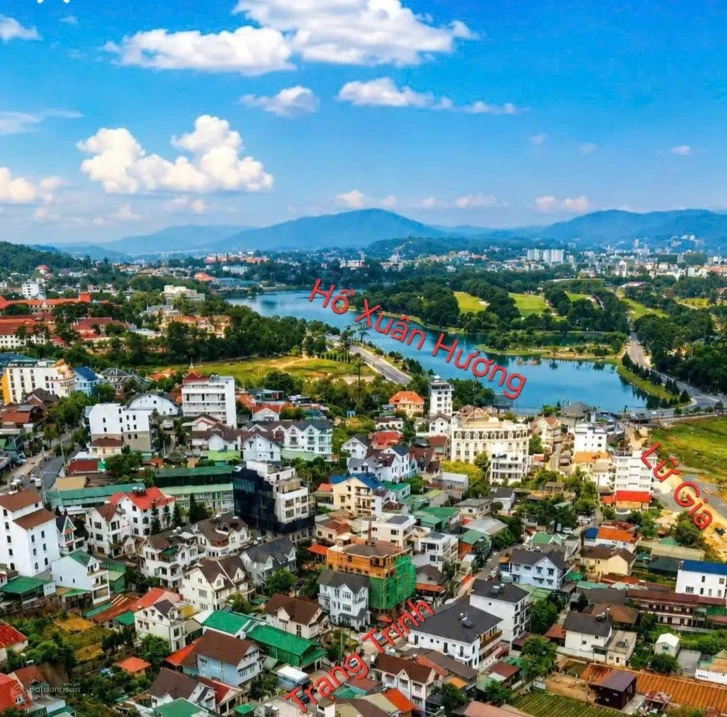 665m2 ngang 22m| góc 2 mặt tiền Trạng Trình Đà Lạt| cách hồ Xuân Hương 1 km - Ảnh thu nhỏ 3