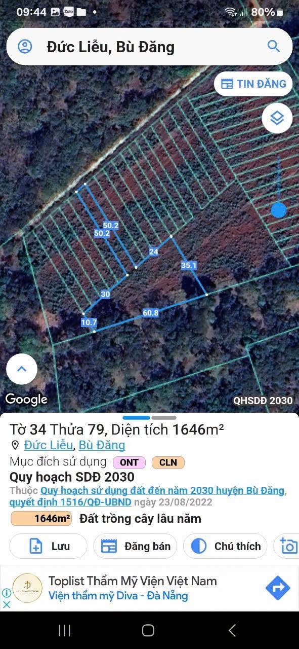 Bán đất mặt tiền 6×100m tại Bù Đăng, Bình Phước 290 triệu - Ảnh thu nhỏ 3
