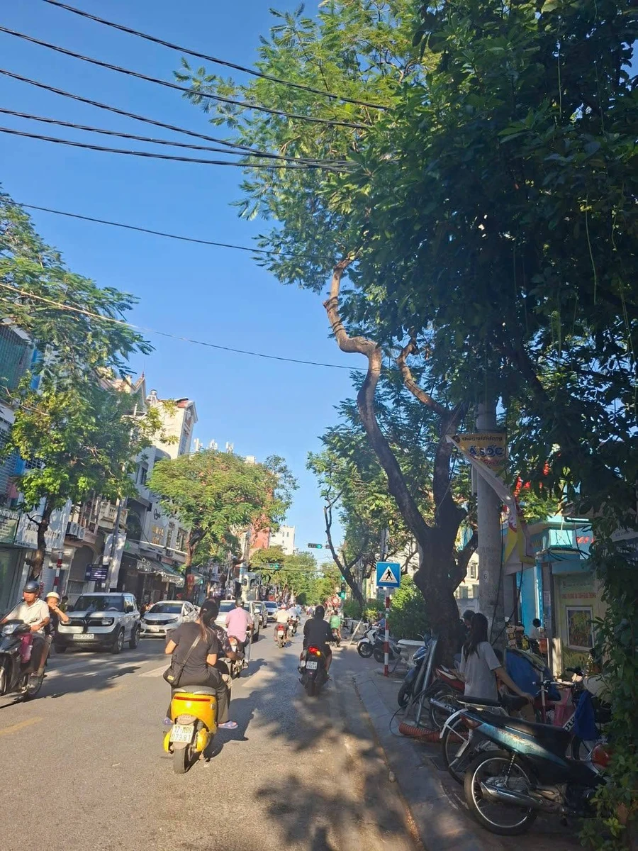 Bán lô đất góc Cát Dài 46m² Hải Phòng - Ảnh thu nhỏ 5