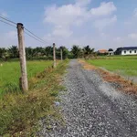 Bán 1.000m2 đất thổ cư và đất lúa gần ngã tư Lạc Tấn, giá 1,25 tỷ - Ảnh thu nhỏ 3