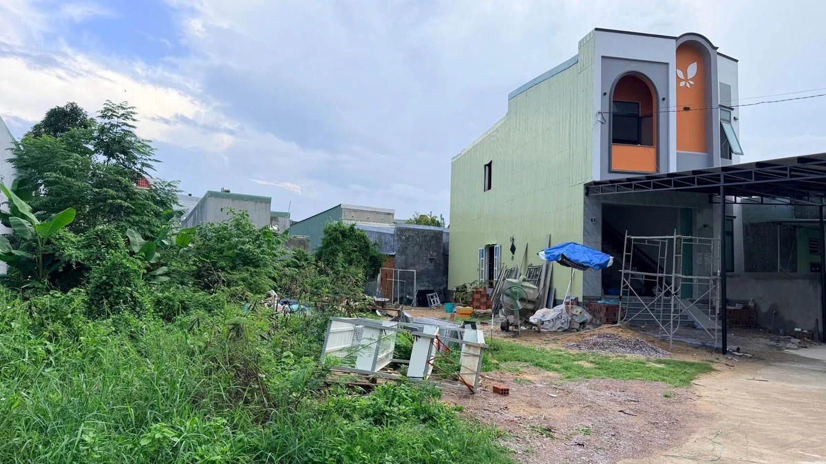 Bán đất 109,7m² hẻm Lê Công Miễn Tuy Phước 890 triệu - Ảnh thu nhỏ 3