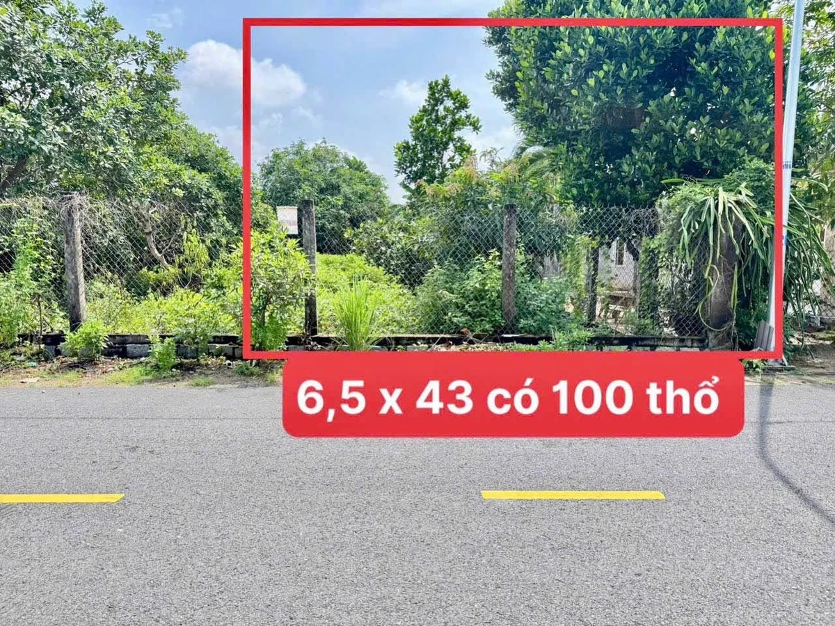 Bán đất mặt tiền Đường Số 1 Tam An 278m² - Ảnh thu nhỏ 4