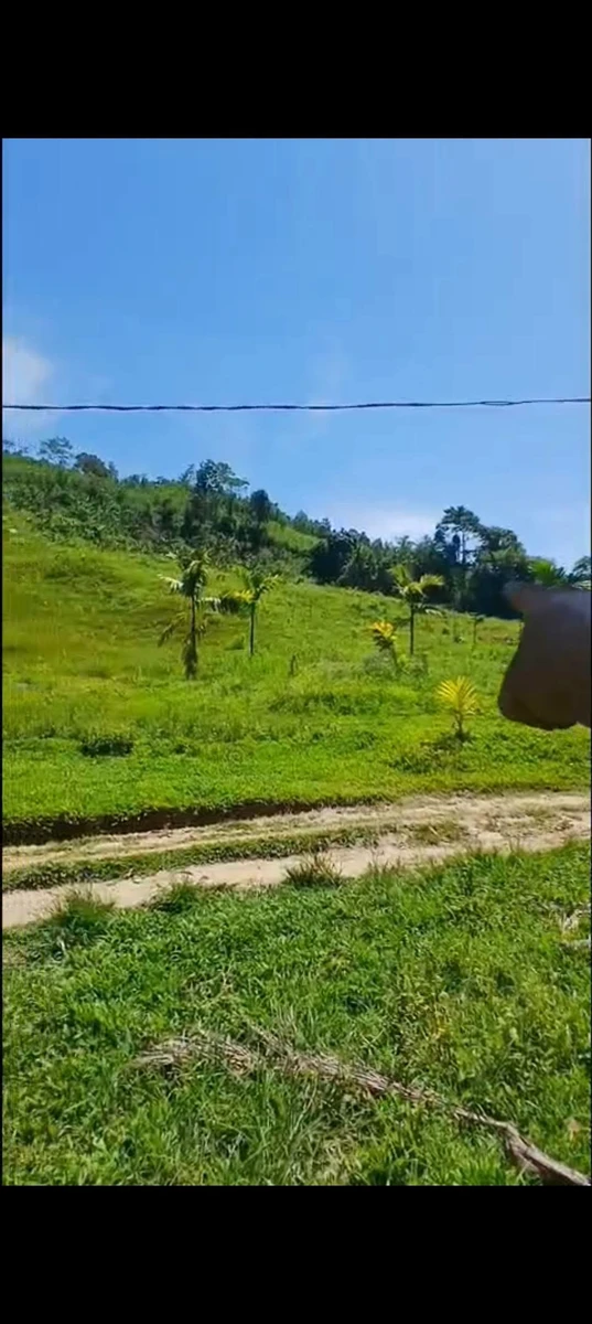Bán đất nhà vườn ven sông 36.000m2 gần thị trấn Bắc Trà My, Quảng Nam - Ảnh thu nhỏ 4