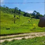 Bán đất nhà vườn ven sông 36.000m2 gần thị trấn Bắc Trà My, Quảng Nam - Ảnh thu nhỏ 4