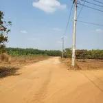 Bán đất Đồng Phú 1000m2, 700 triệu - Ảnh thu nhỏ 3