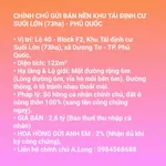 Bán nền 122m² Khu Tái định cư Suối Lớn, Phú Quốc 2,6 tỷ - Ảnh thu nhỏ 1