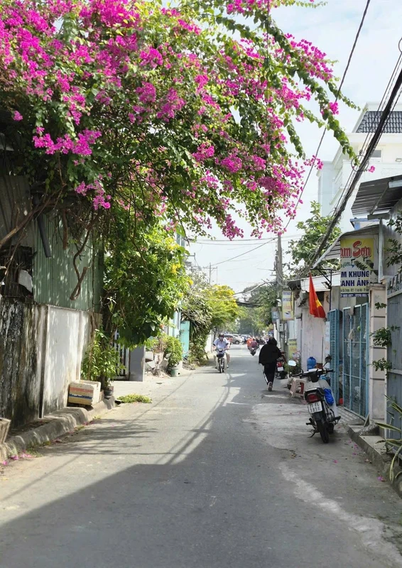 Bán nhà 2 phòng ngủ 37,8m² An Hội, Bến Tre 900 triệu