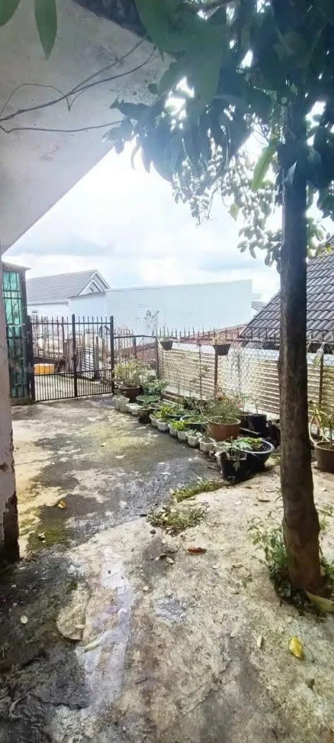 Bán đất 151.6m² tặng nhà ở Đà Lạt, 3.9 tỷ - Ảnh thu nhỏ 2