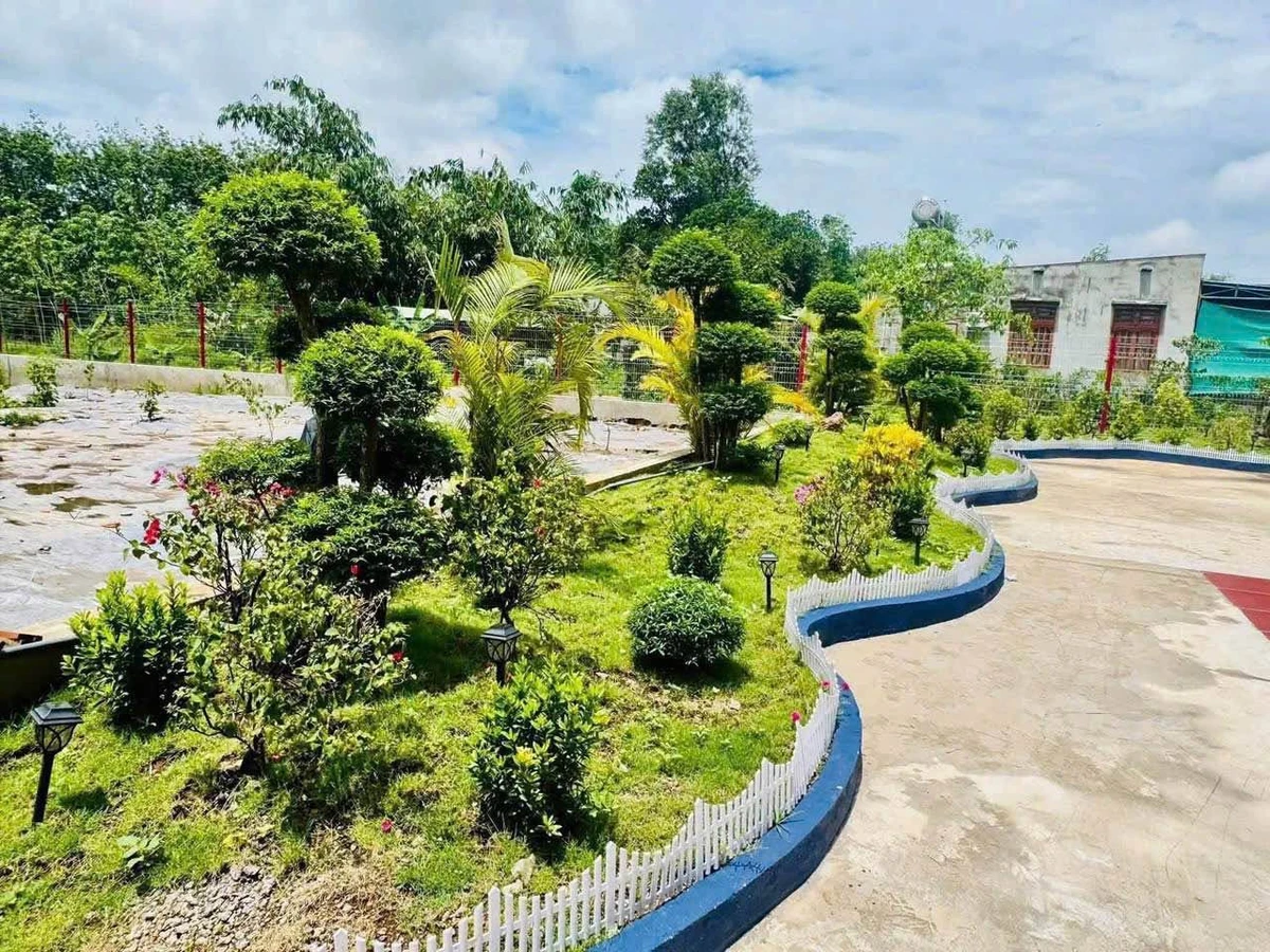 Bán đất vườn 1.800m² Phú Giáo 3 tỷ 490 triệu - Ảnh thu nhỏ 5