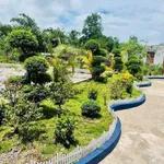 Bán đất vườn 1.800m² Phú Giáo 3 tỷ 490 triệu - Ảnh thu nhỏ 5