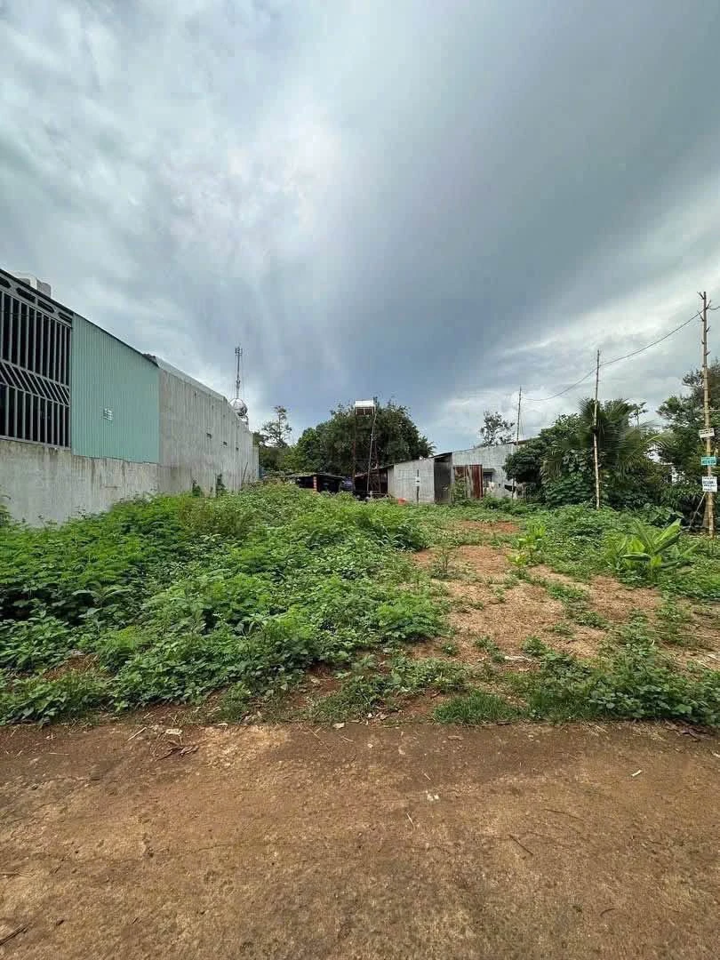 Bán nhà hẻm Nguyễn Xuân Nguyên, Tân An, 60m² - Ảnh thu nhỏ 2