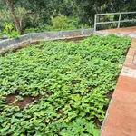 Bán nhà 3PN Trần Quý Cáp, Bình Tân, 185m², 2 tỷ 650 triệu - Ảnh thu nhỏ 5