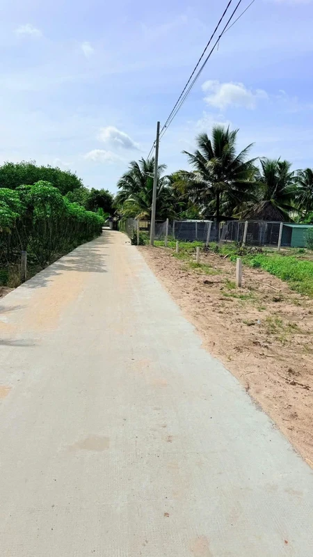 Bán nền đất Tân Hội, Tây Ninh 150m² – 179 triệu