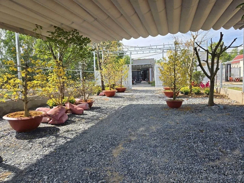 Bán 1.000m2 đất mặt tiền đường 3/2, Hậu Nghĩa, Đức Hòa, Long An, giá 6 tỷ