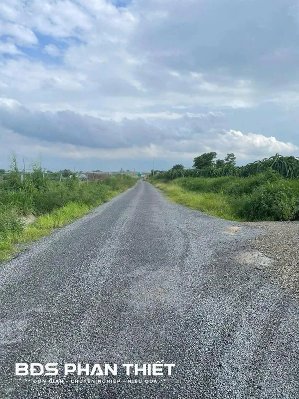 Bán đất vườn 5490 m² tại Phan Thiết, Lâm Đồng