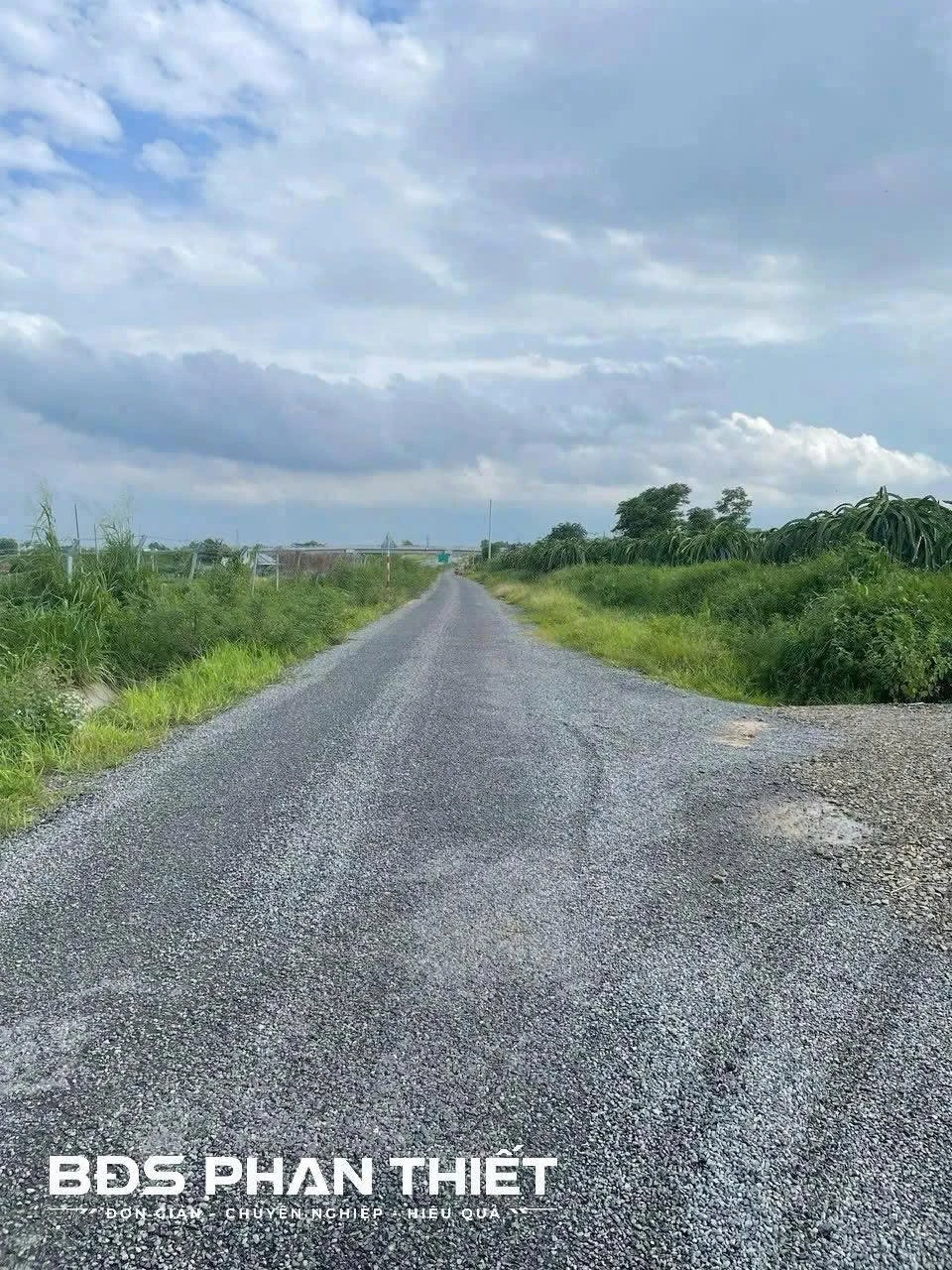 Bán đất vườn 5490 m² tại Phan Thiết, Lâm Đồng - Ảnh 1