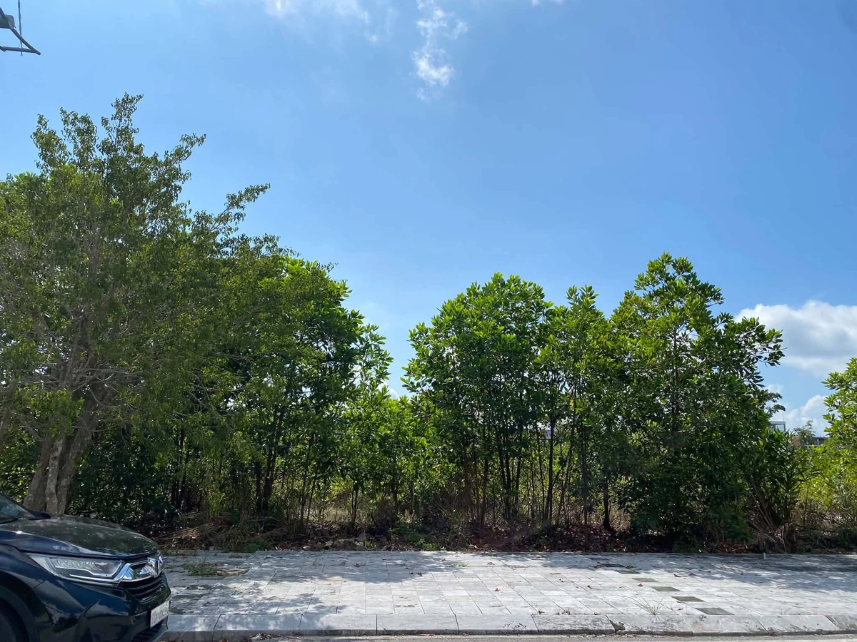 Bán lô đất 300m² Khu đô thị Phương Đông, Vân Đồn, Quảng Ninh - Ảnh thu nhỏ 4