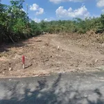 Bán lô đất full thổ cư Phú An, Thủ Đức, giá 1 tỷ 300 triệu - Ảnh thu nhỏ 1