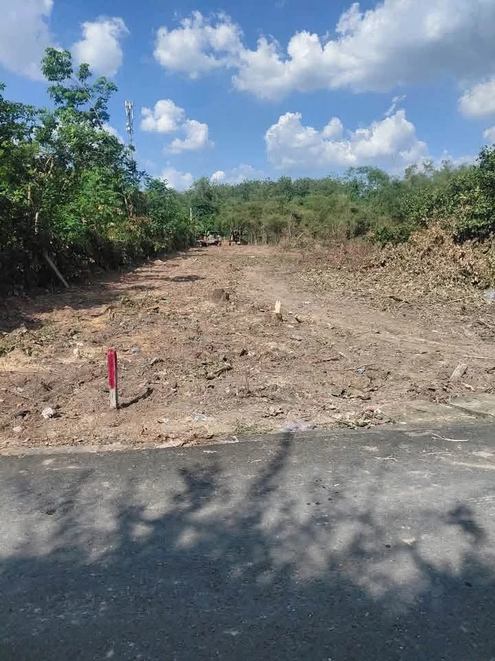 Bán lô đất full thổ cư Phú An, Thủ Đức, giá 1 tỷ 300 triệu - Ảnh 1