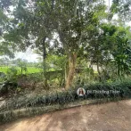 Cần bán 933m2 full thổ cư sẵn nhà cấp 4, bám đường to tại xã Cao Dương, giá rẻ chỉ 4 triệu/m2 - Ảnh thu nhỏ 10