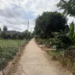 Bán đất cây lâu năm tại Cồn Bà Hoà Xã Bình Thạnh Huyện Châu Thành AG - Ảnh thu nhỏ 11