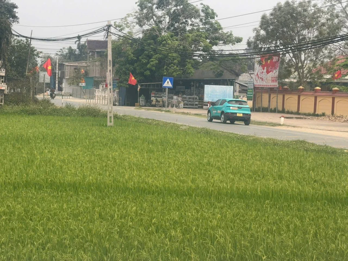 Bán đất mặt tiền QL46 Trung Sơn Đô Lương Nghệ An 150m² - Ảnh thu nhỏ 3