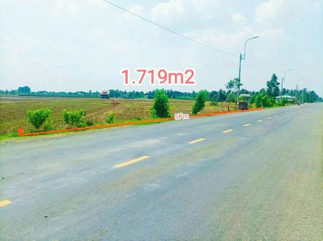 Bán đất 1.719m2 mặt tiền đường nhựa 832 xã Nhựt Ninh, Tân Trụ, Tây Ninh - Ảnh thu nhỏ 3