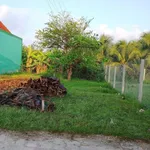 Bán đất thổ cư 78.7m² Giao Long, Vĩnh Long, 530 triệu - Ảnh thu nhỏ 2