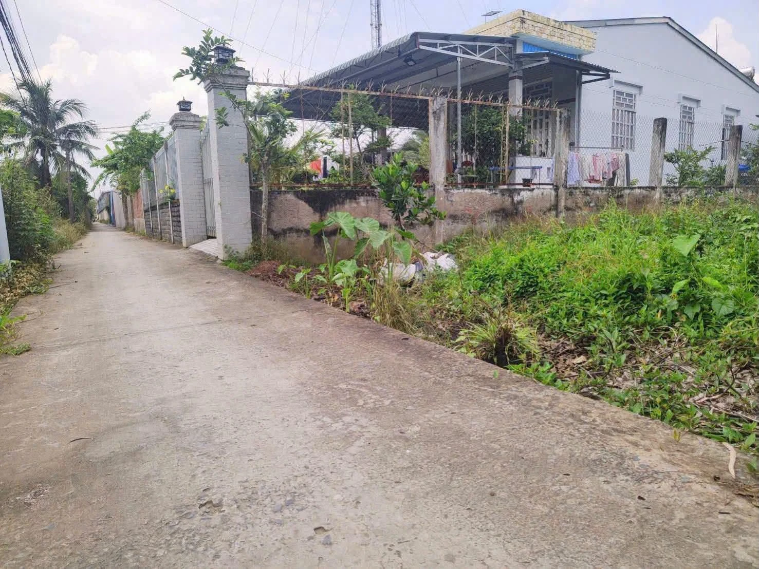 Bán đất nền thổ cư 130m² (5x26m) giá 750 triệu tại Bình Phú, Bến Tre - Ảnh 1