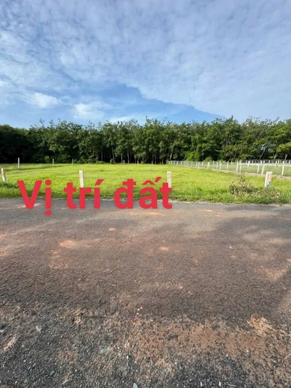 Bán đất nền 50m² Xã Long Chữ, Tây Ninh 295 triệu