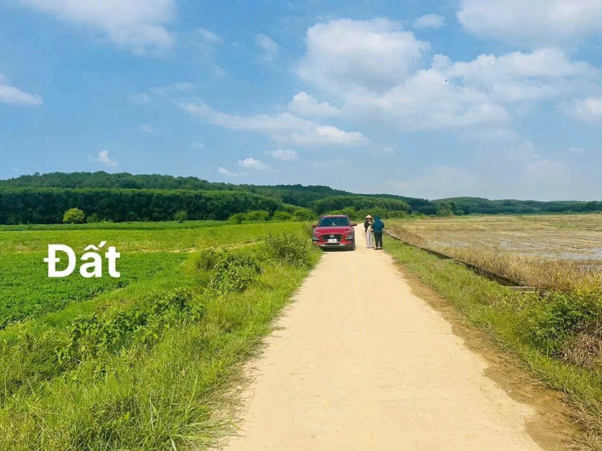 Đất bán Phong Sơn Huế 900m² mặt bê tông 89 triệu - Ảnh thu nhỏ 2