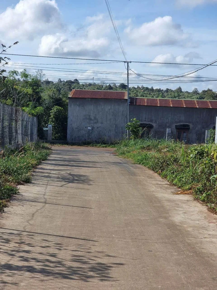 Bán nhà cấp 4 5x20m Thành Nhất Hóc Môn 1 tỷ 290 triệu - Ảnh thu nhỏ 4