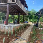 Bán nhà vườn 1609m2 Ea Nuôl Đắk Lắk - Ảnh thu nhỏ 4