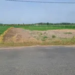Bán đất vui núi 1008m² Thạnh Lợi, Tây Ninh 650 triệu - Ảnh thu nhỏ 4