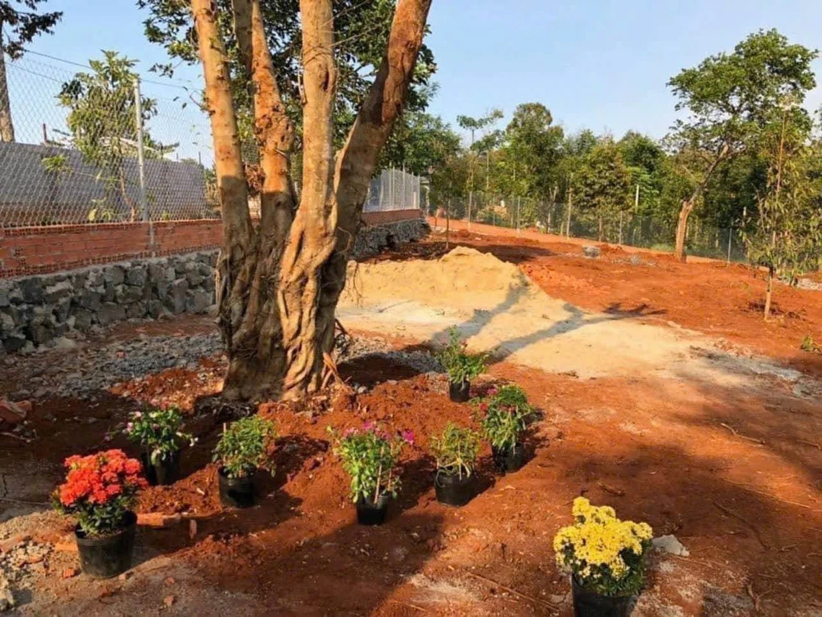Bán đất 7 sào 1 mặt tiền gần sân bay Buôn Ma Thuột - Ảnh thu nhỏ 4
