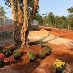 Bán đất 7 sào 1 mặt tiền gần sân bay Buôn Ma Thuột - Ảnh thu nhỏ 4