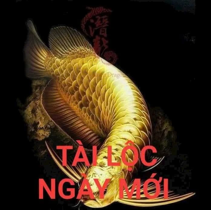 Bán nhà có gác lửng 52m2 hẻm 907 Bình Giã, Phường Rạch Dừa, Vũng Tàu - Ảnh 1