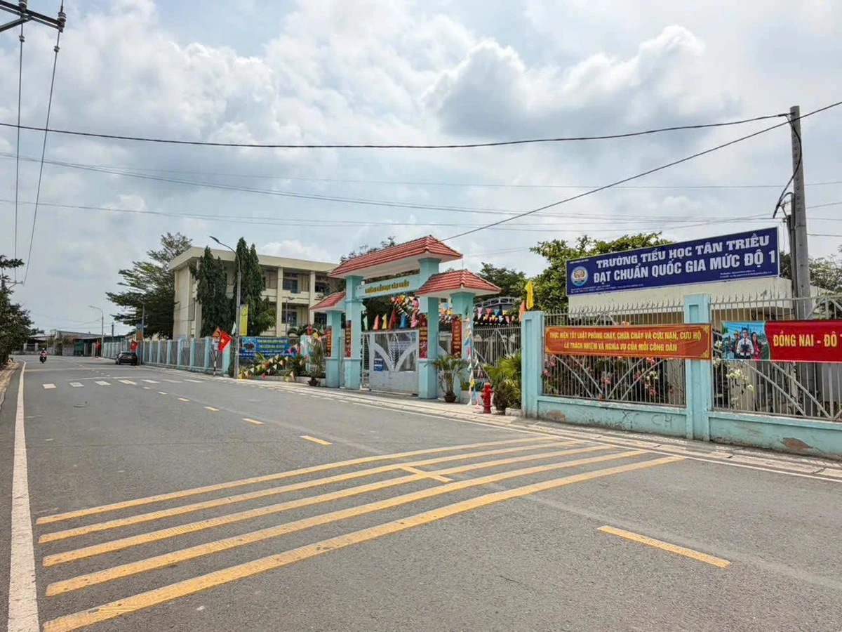 Bán đất mặt tiền Hương Lộ 9 view sông 134,1m2, giá 1,25 tỷ, Đồng Nai - Ảnh thu nhỏ 4