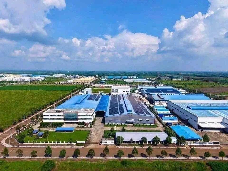 Bán đất F0 500m2 hẻm nhựa đường Lên Nhựa, Long Tân, Đất Đỏ giá 599 triệu - Ảnh 1