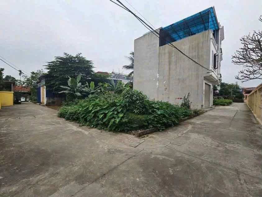 Bán đất 50m² mặt tiền 5m ngõ Cát Linh, giá 1.4 tỷ - Ảnh thu nhỏ 3