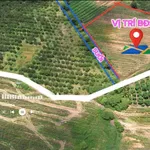 Bán 11.600m2 đất nông nghiệp view suối Buôn Đôn, Đắk Nông - Ảnh thu nhỏ 1