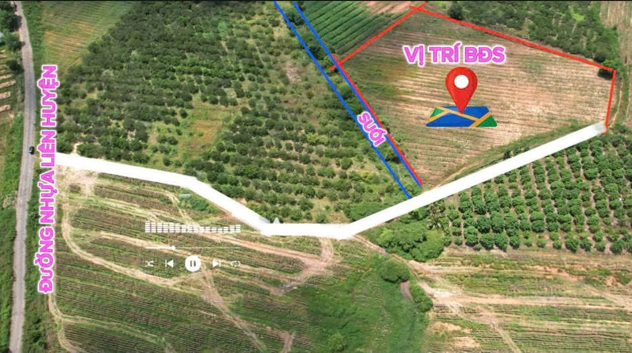Bán 11.600m2 đất nông nghiệp view suối Buôn Đôn, Đắk Nông - Ảnh 1