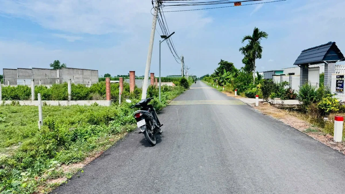 Bán đất 2 mặt tiền 11.9x83m Gia Lộc Tây Ninh - Ảnh thu nhỏ 5