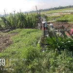 Chính chủ bán 94m2 đất thổ cư Hoành Sơn, Giao Thủy, Nam Định hướng Tây Nam - Ảnh thu nhỏ 12