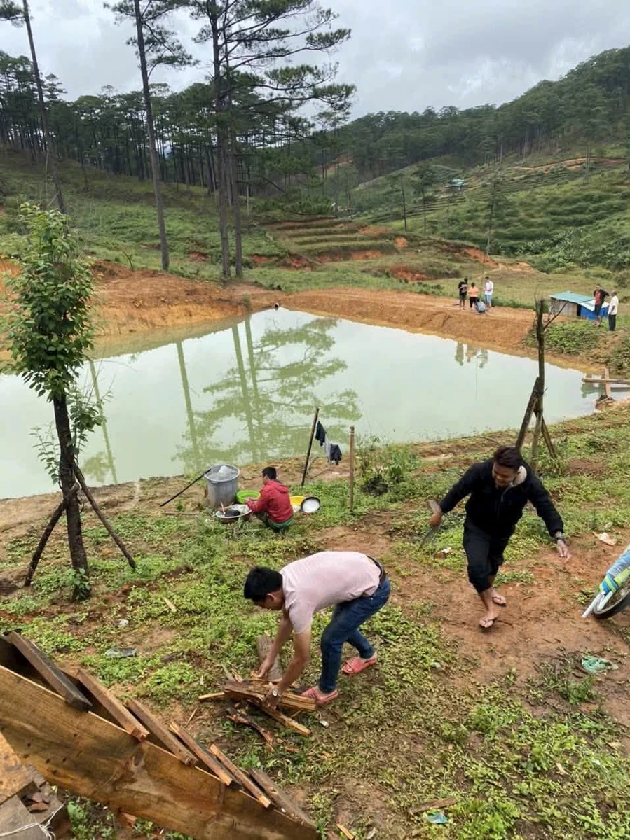 Bán đất 2.8 ha Mai Anh Đào view rừng Đa Nhim Lạc Dương - Ảnh thu nhỏ 3