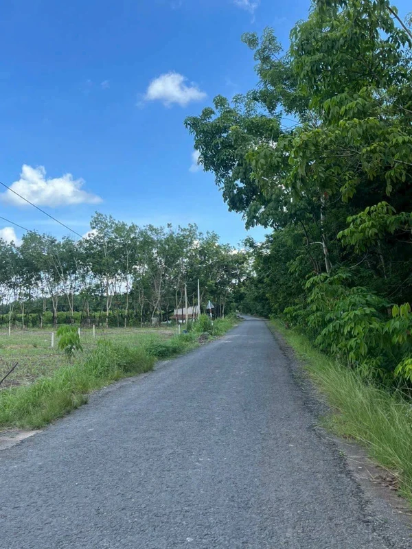 Bán đất Tây Ninh 1.001,8m² giá 379 triệu