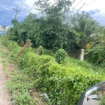 Bán đất 600m2 thổ cư Xã Tuyên Quang Phan Thiết - Ảnh thu nhỏ 2