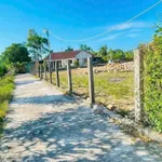 Bán đất 145m2 full thổ cư Tuy Phước, Bình Dương 400 triệu - Ảnh thu nhỏ 3